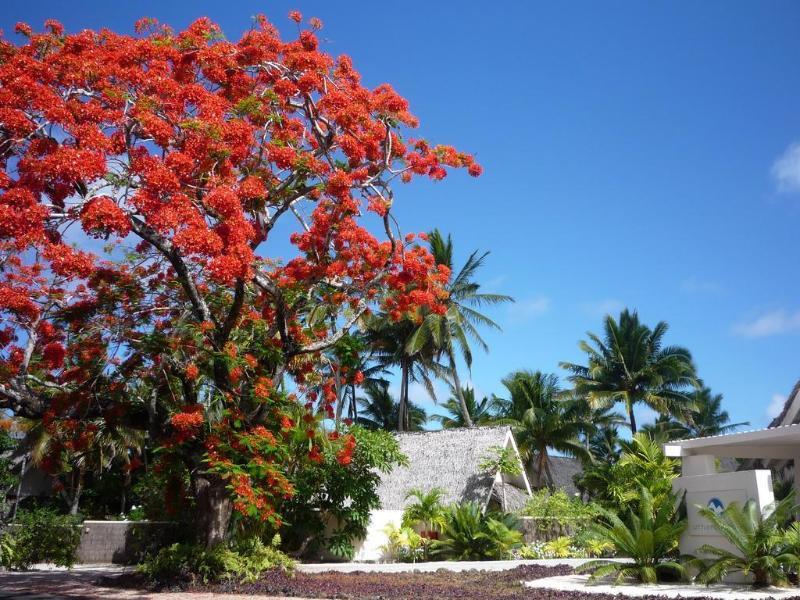 Little Polynesian Resort Rarotonga Esterno foto